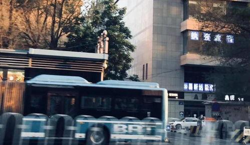 乌市沙区最新爆料,揭秘神秘事件背后的真相  第3张